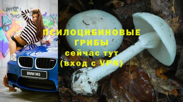 мет Аркадак