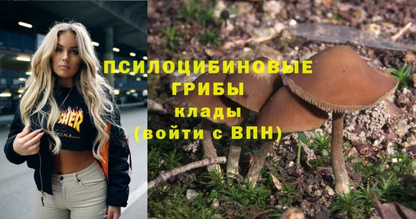 мет Аркадак
